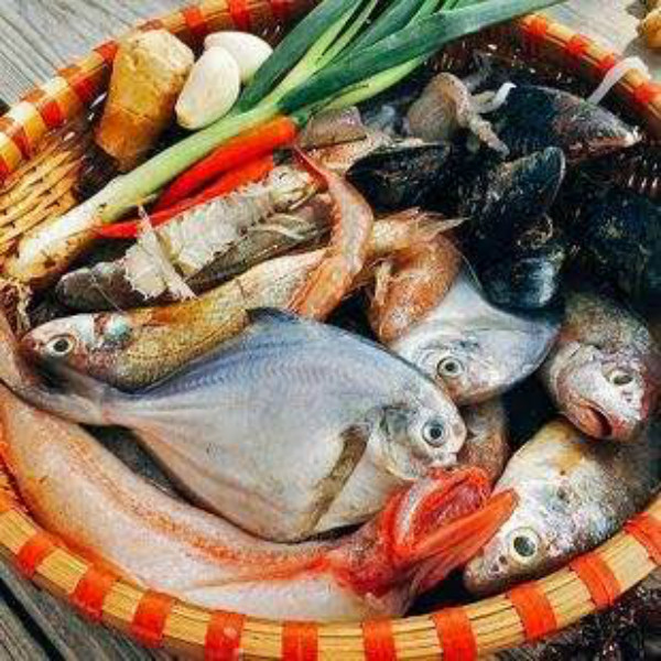 海杂鱼